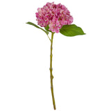 Small Head Hydrangea Pretty Pink image 0