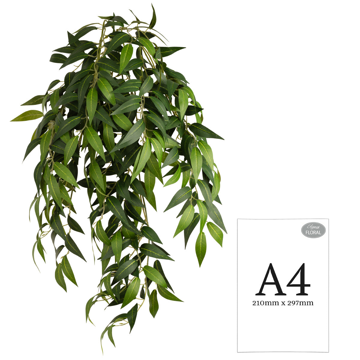 Ruscus Bush x 7 Branches image 1
