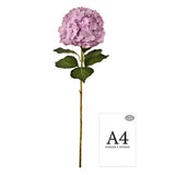 Large Head Hydrangea Pastel Lilac image 1