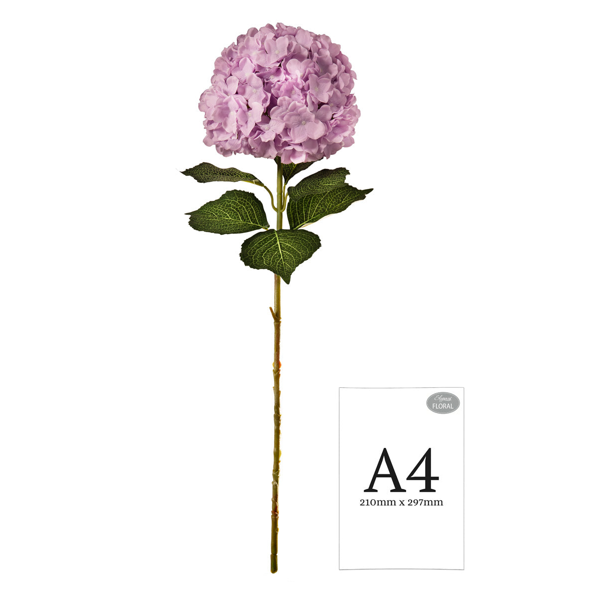 Large Head Hydrangea Pastel Lilac image 1