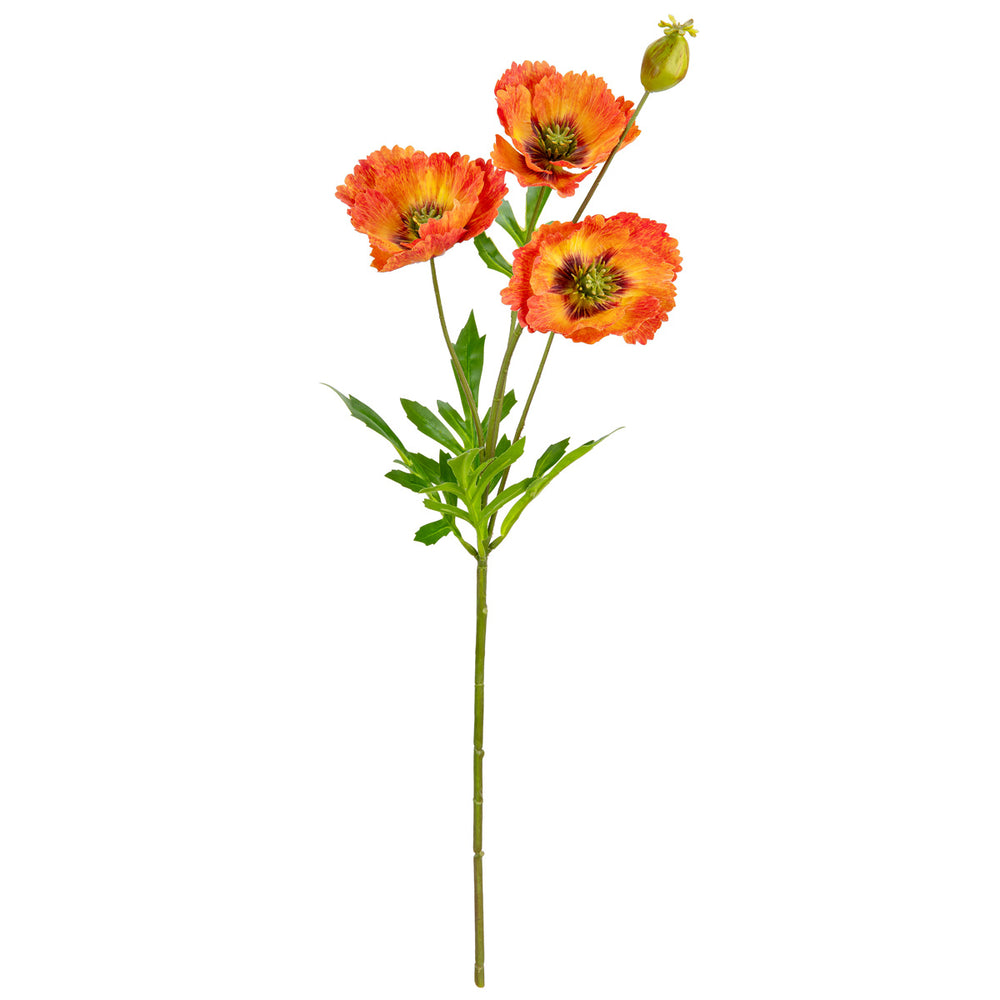Small Poppy Spray Orange image 0