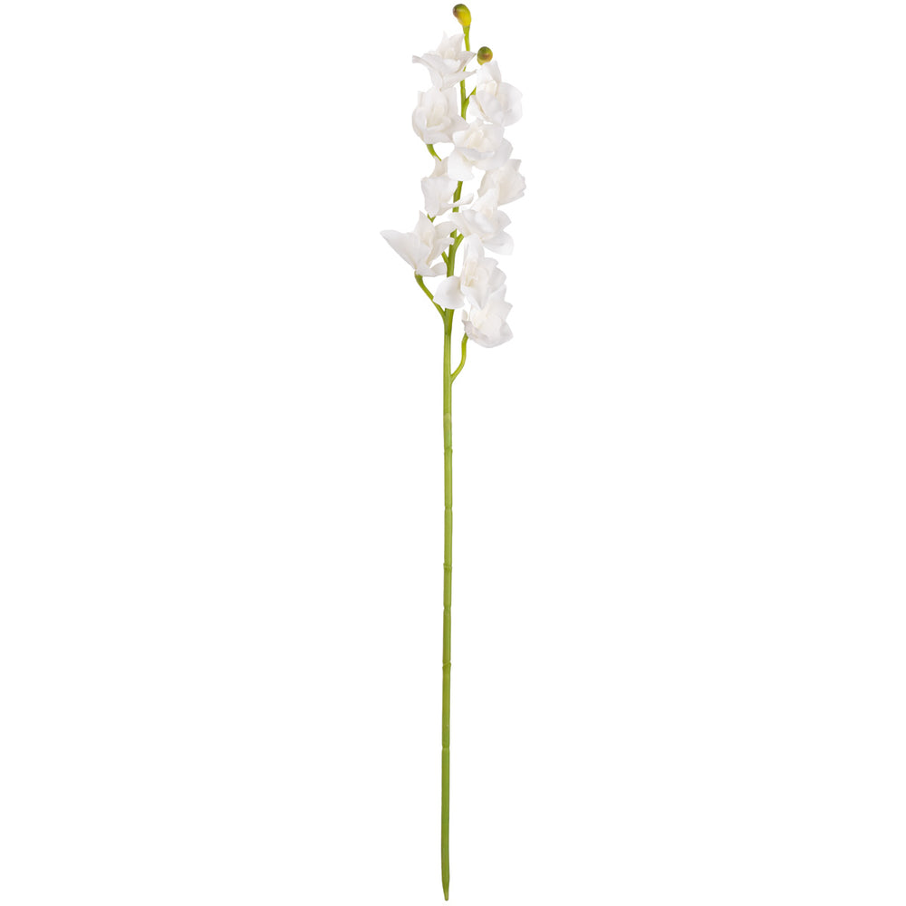 Cymbidium Orchid x 10 plus 2 buds White image 0