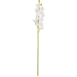 Cymbidium Orchid x 10 plus 2 buds White image 0