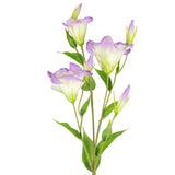 Eleganza Lisianthus Spray x 3 2 tone Lavender image 1