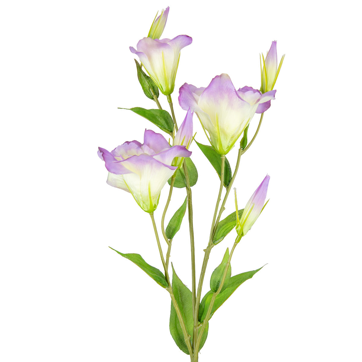 Eleganza Lisianthus Spray x 3 2 tone Lavender image 1
