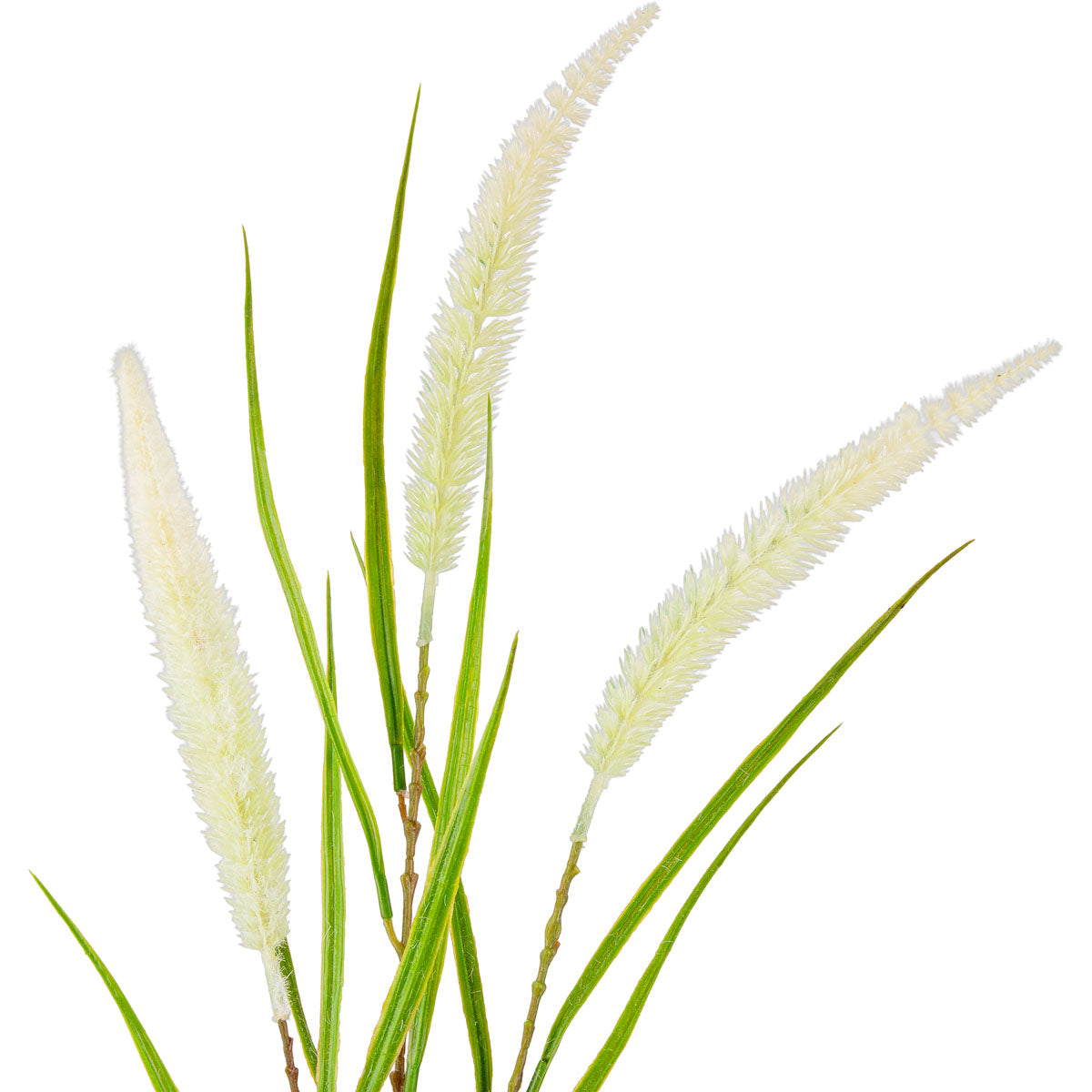 100cm Reed Spray White image 1