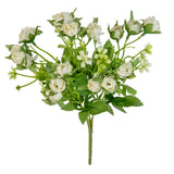 Rosebud Bush White image 2