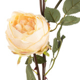 Elizabeth Garden Rose Spray x 3 Champagne image 2