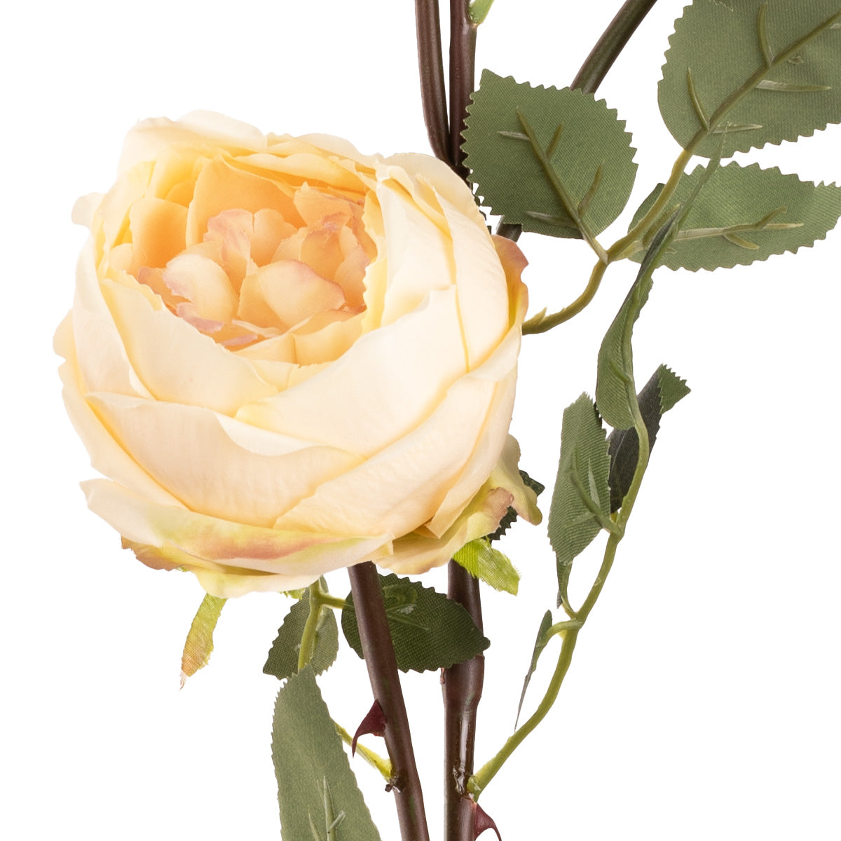 Elizabeth Garden Rose Spray x 3 Champagne image 2