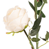 Elizabeth Garden Rose Spray x 3 Cream image 2