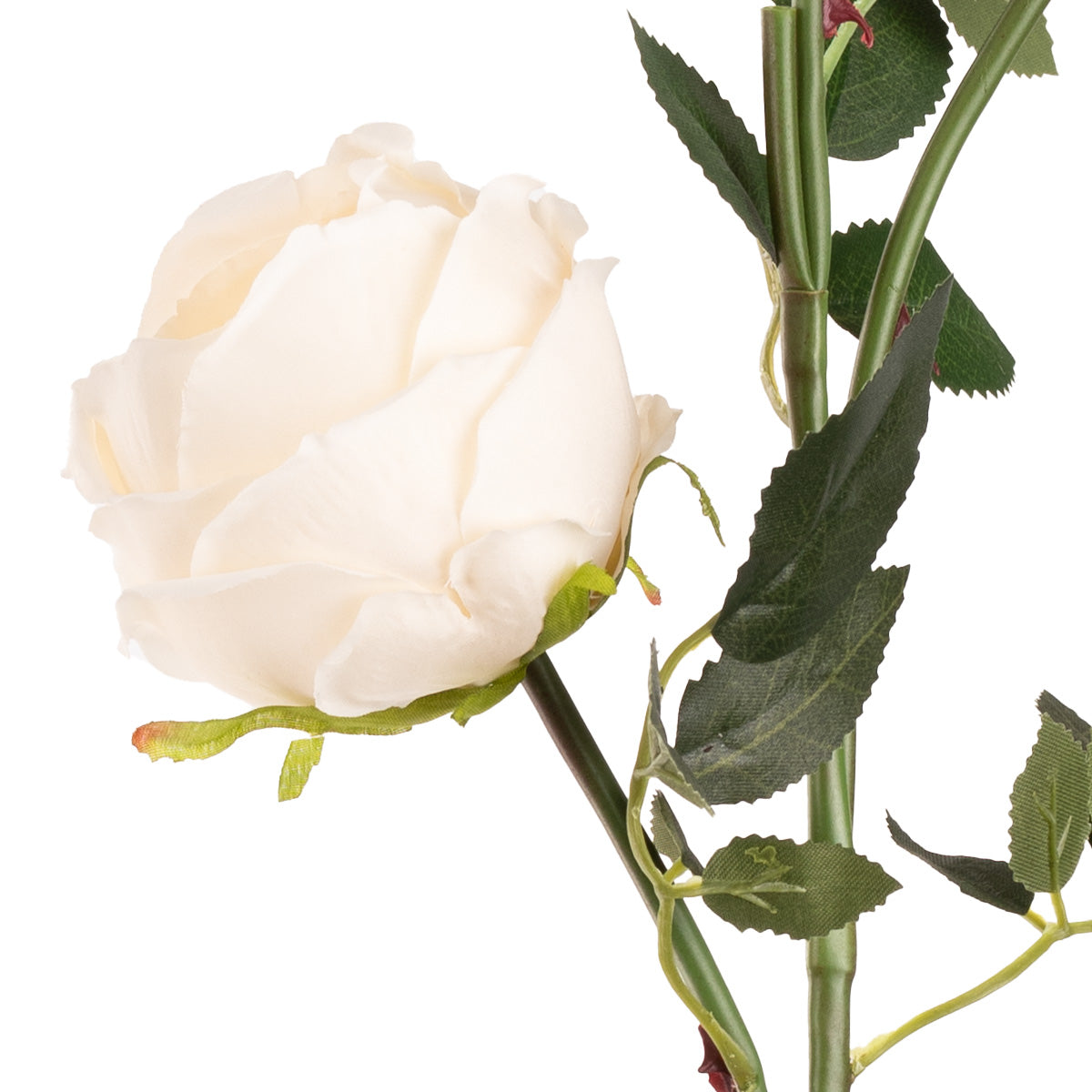 Elizabeth Garden Rose Spray x 3 Cream image 2