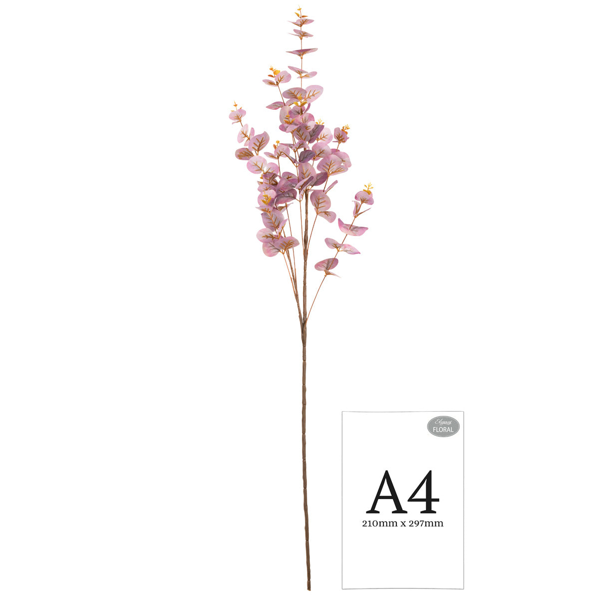 Eucalyptus Stem Mauve image 1