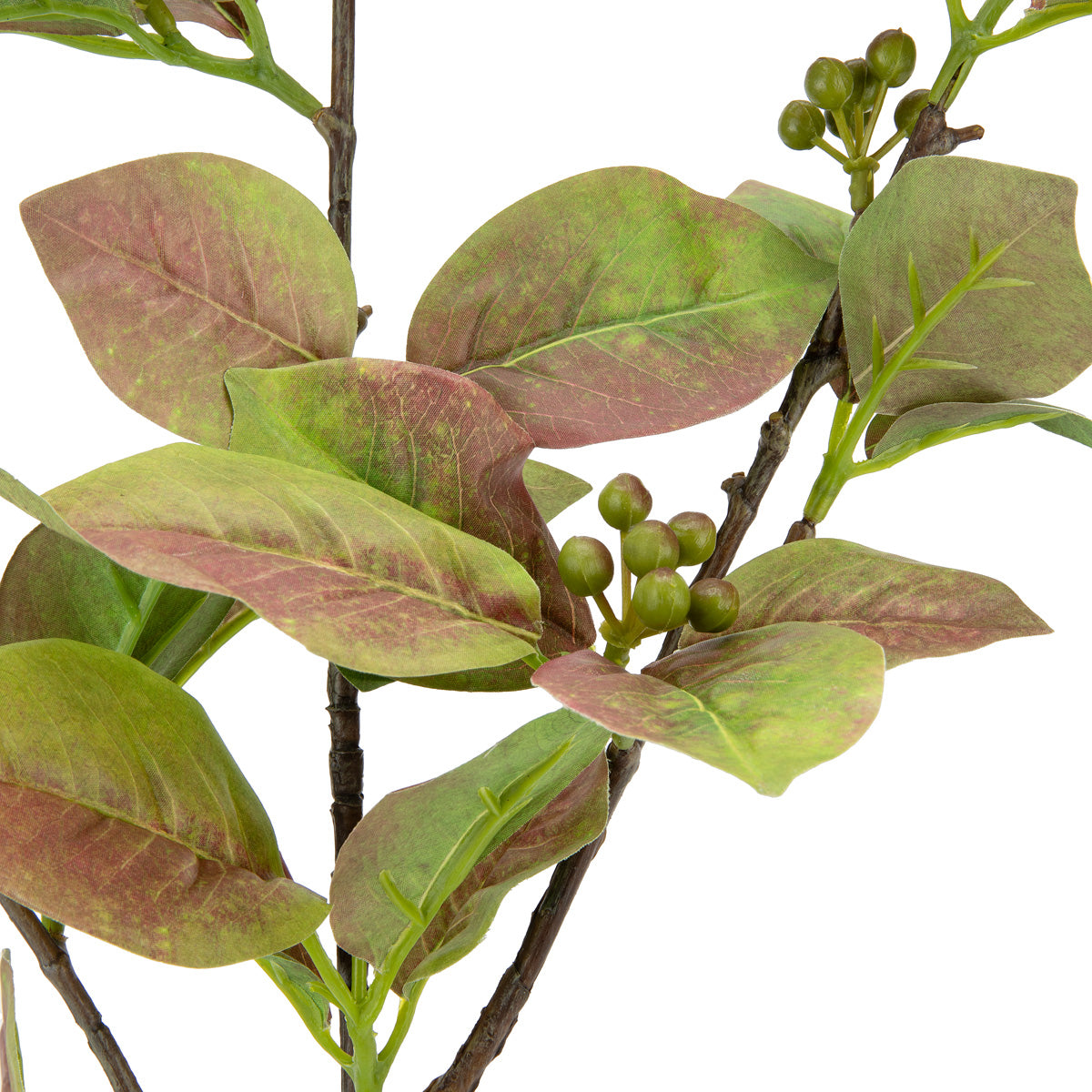 Clematis Leaf with Berries image 2