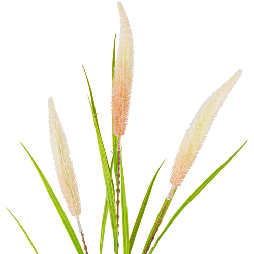 100cm Reed Spray Orange image 1