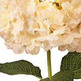 Large Head Hydrangea Cream/Pink image 3