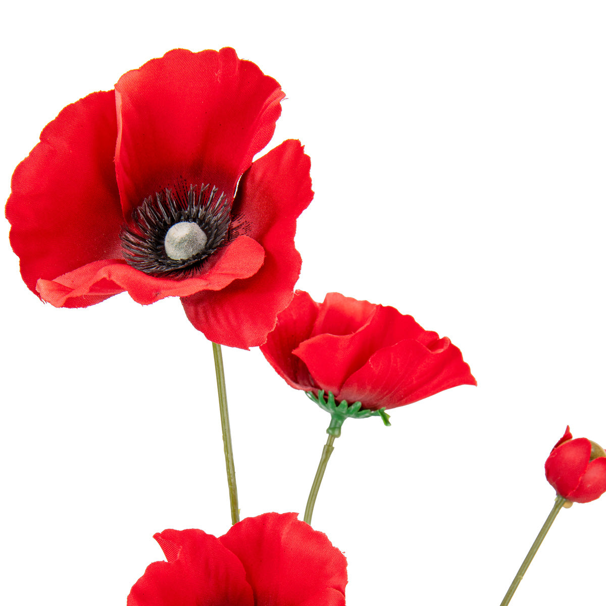 Poppy Spray Red x 3 Heads 1 Bud image 1