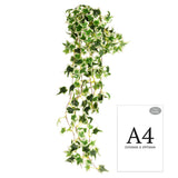 Hanging Ivy Bush Variegated image 1