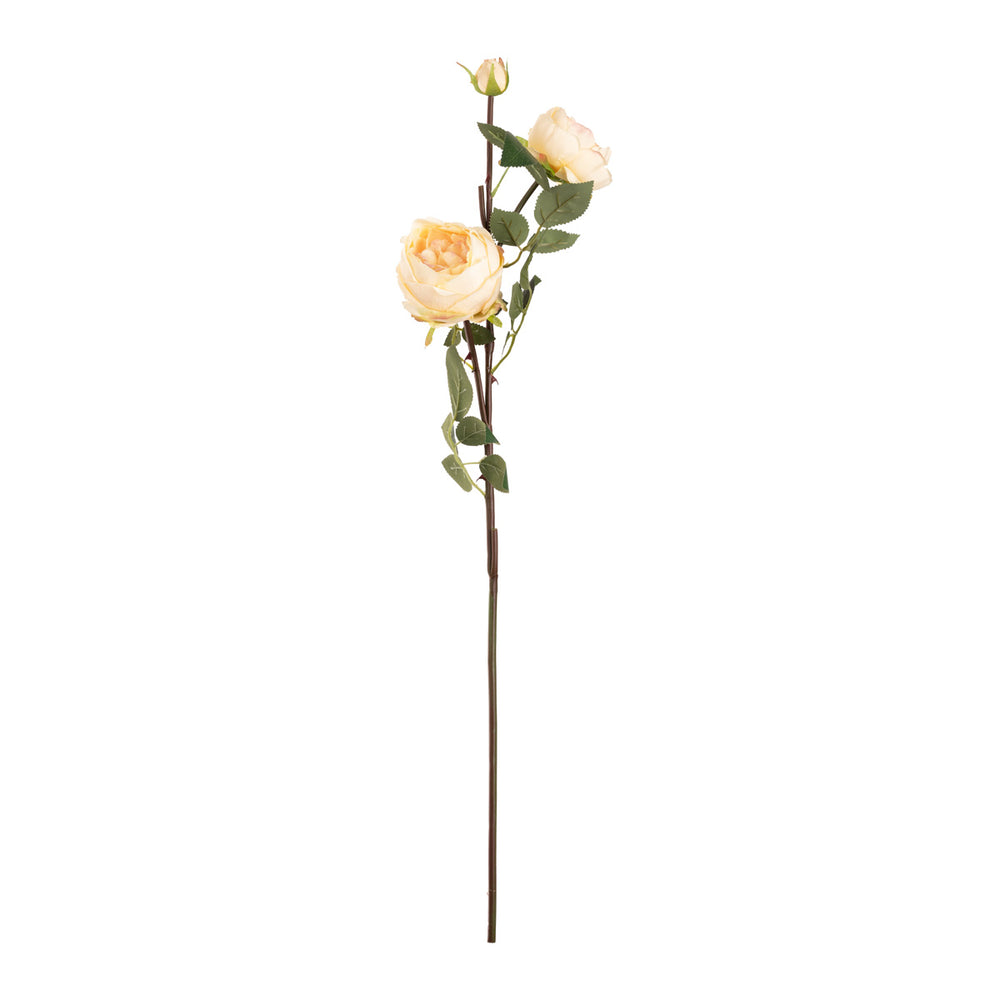 Elizabeth Garden Rose Spray x 3 Champagne image 0