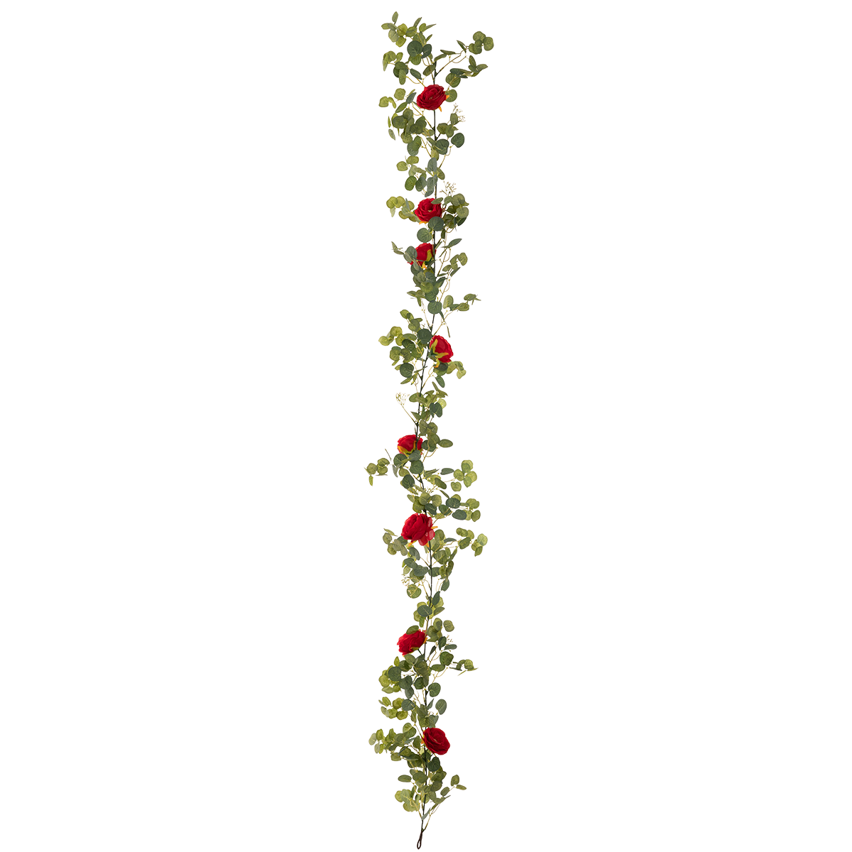 Eucalyptus Garland with Wild Rose Red image 1