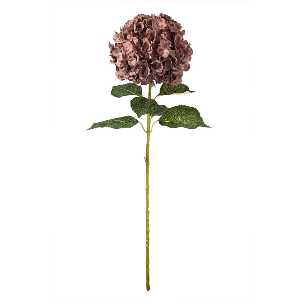 Large Head Hydrangea Dusky Pink image 0