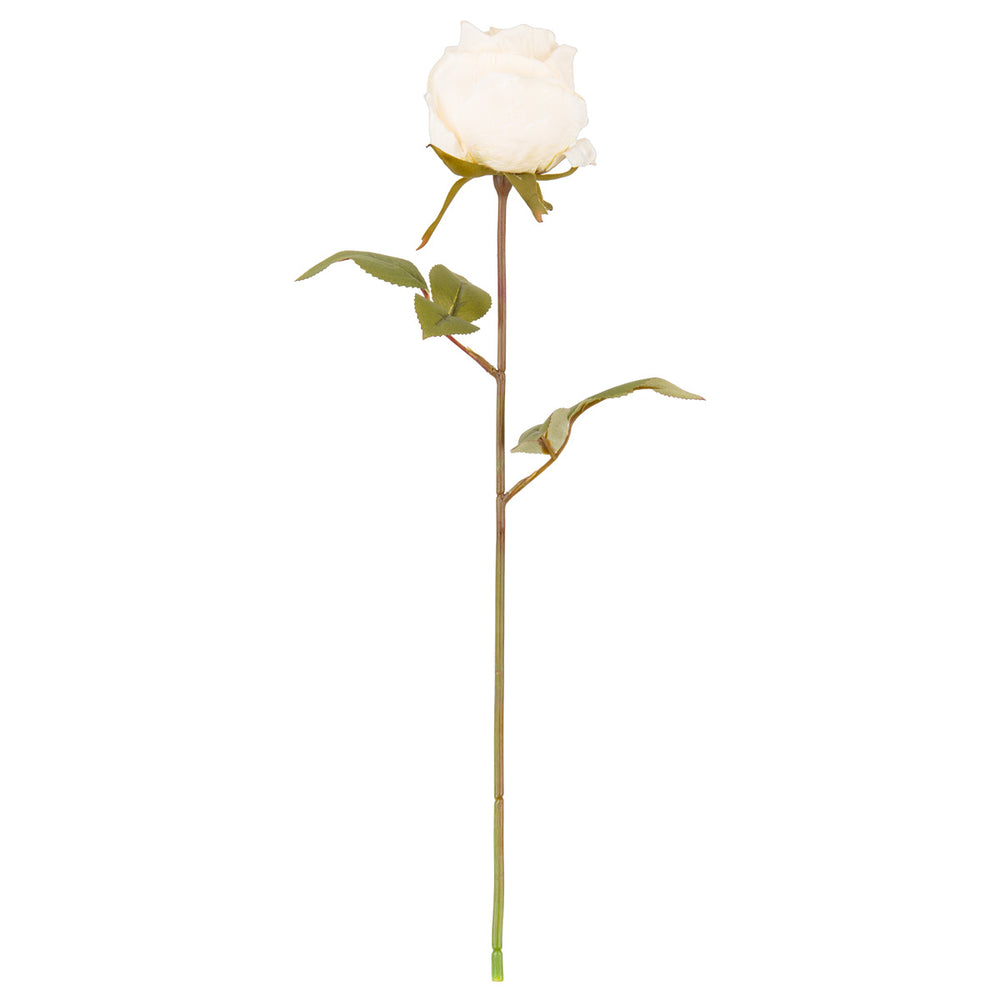 Dry Image Rose Linen White image 0