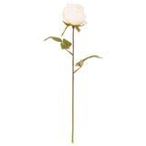 Dry Image Rose Linen White image 0