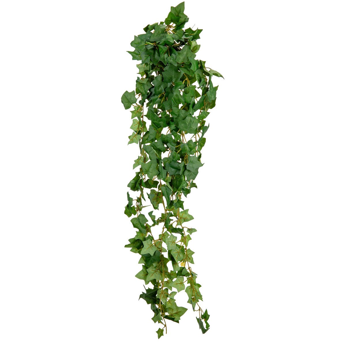 Ivy Bush Green image 0