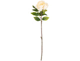 Aurora Peony x 1 Ivory image 0