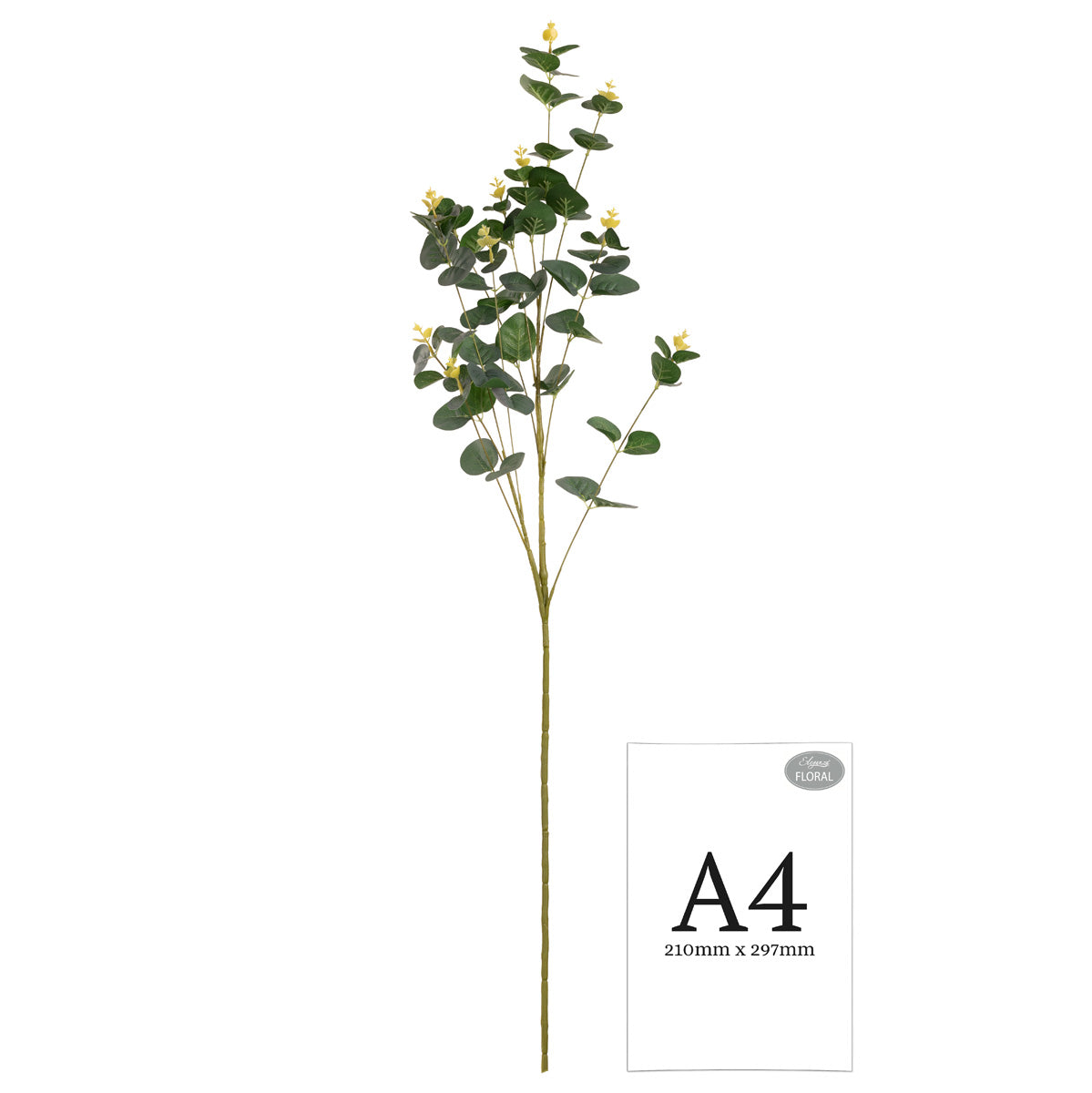 Eucalyptus Stem Green image 1