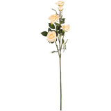 Large Diana Rose Spray x 5 Nude image 0