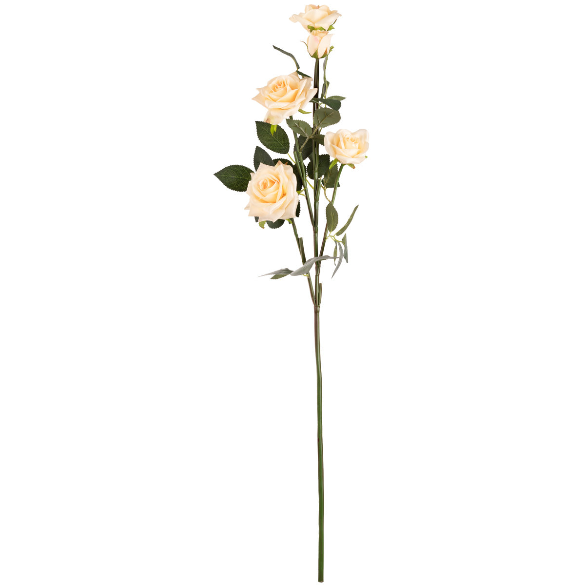 Large Diana Rose Spray x 5 Nude image 0