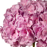 Large Head Hydrangea Two Tone Pink image 2
