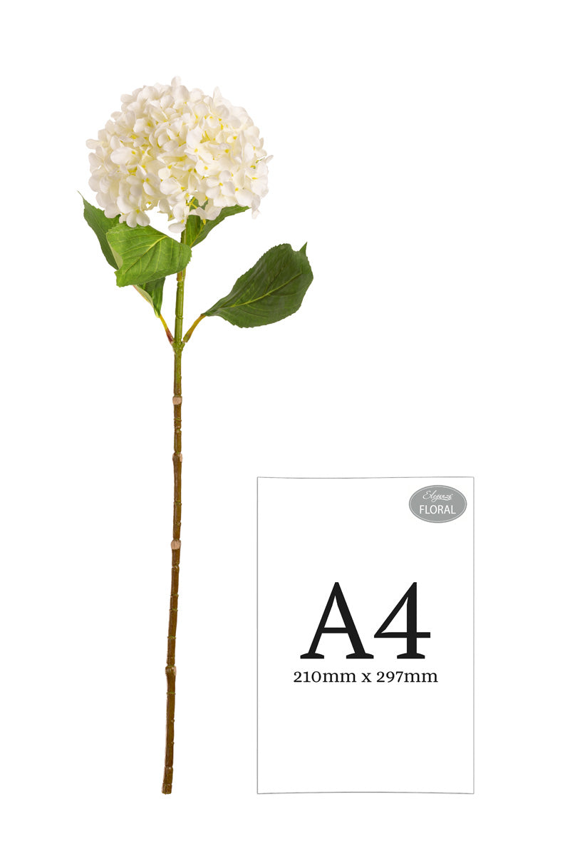 Hydrangea Stem White (19cm Head 66cm Stem) image 2
