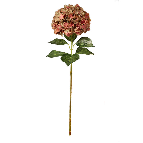 Large Head Hydrangea Two Tone Green/Pink image 0
