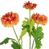 Oriental Aster Spray x 3 Orange image 1