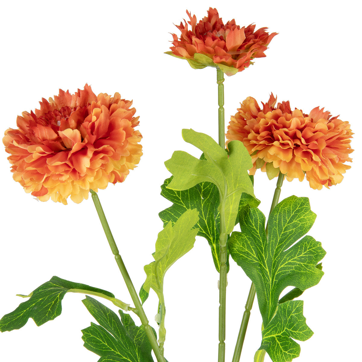 Oriental Aster Spray x 3 Orange image 1