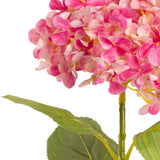 Hydrangea Stem Dark Pink (19cm Head 66cm Stem) image 1