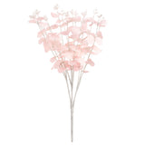 Eucalyptus Bush x 16 Pink image 0