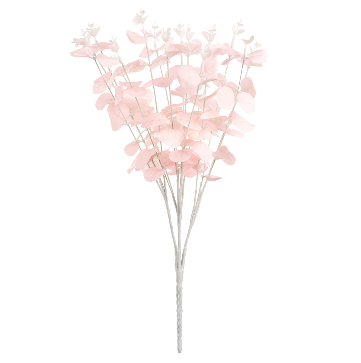 Eucalyptus Bush x 16 Pink image 0