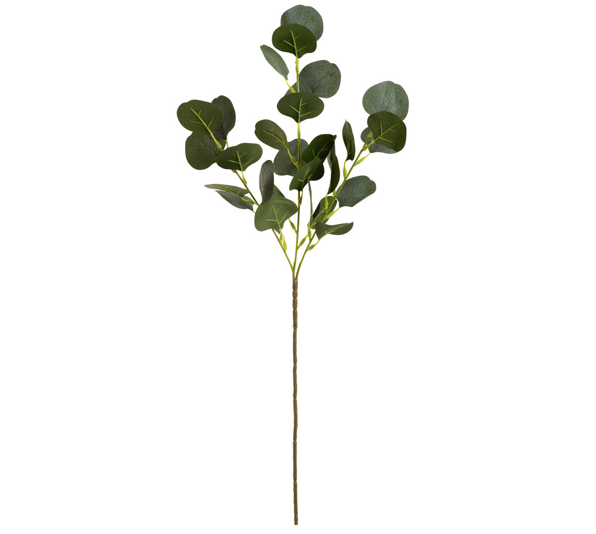 Eucalyptus Frosted Green image 0