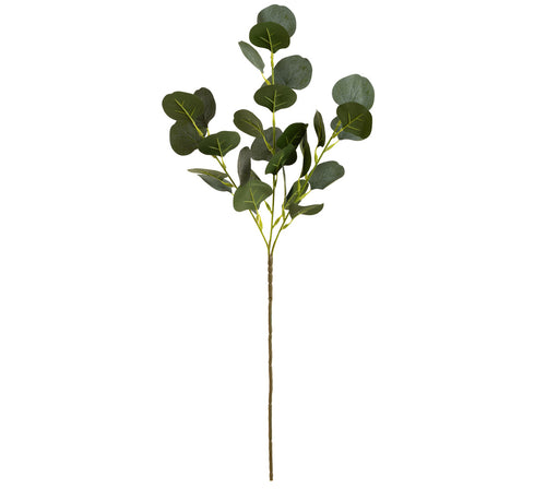 Eucalyptus Frosted Green image 0