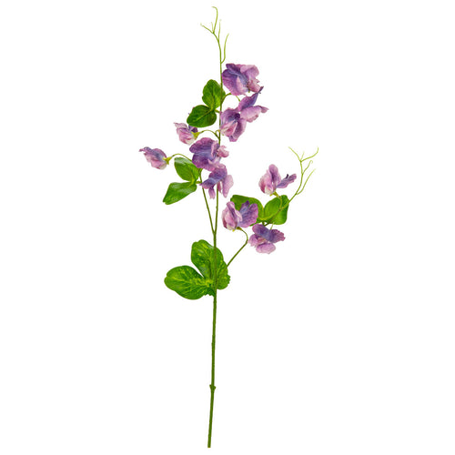 Sweet Pea Spray Purple image 0