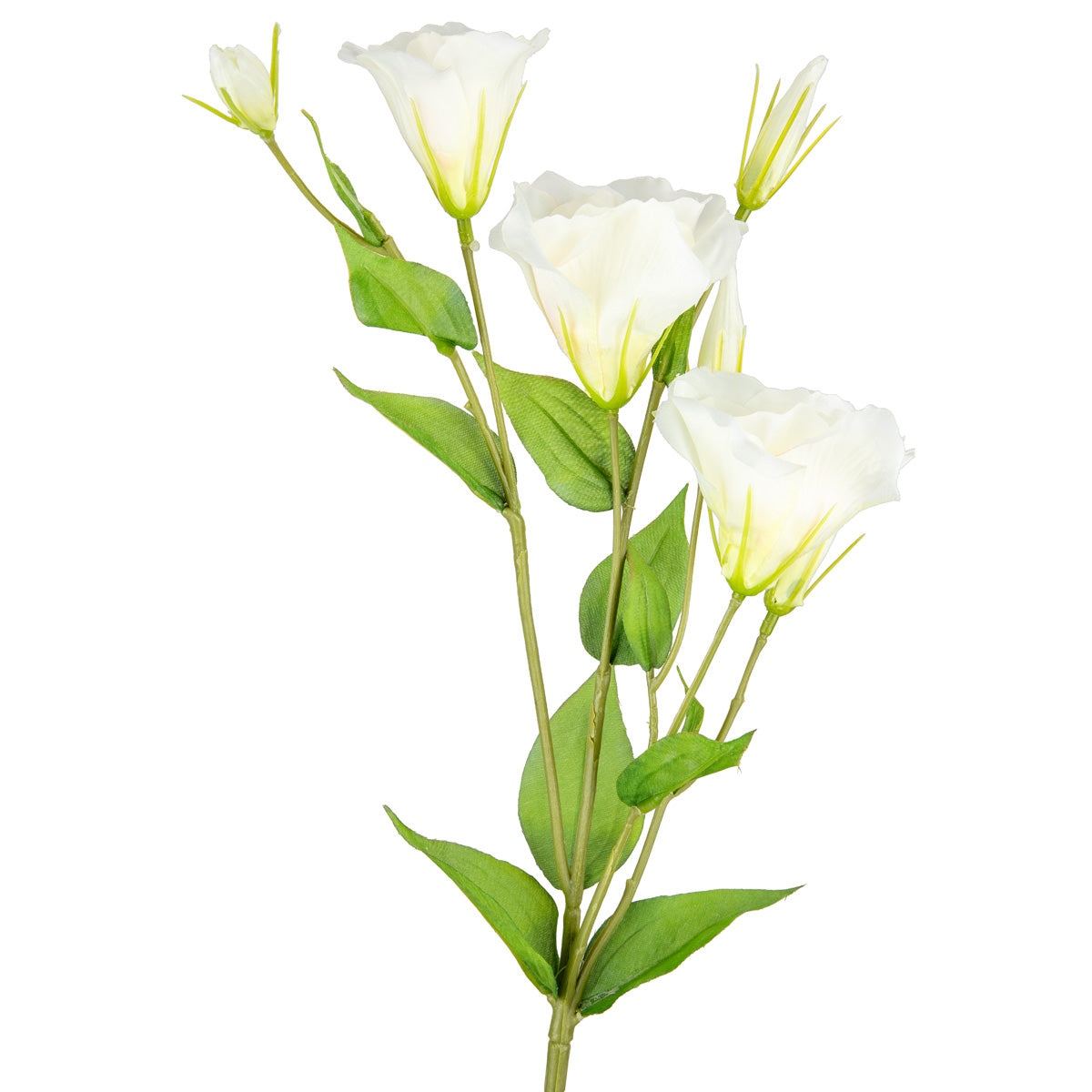Eleganza Lisianthus Spray x 3 White image 1