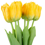 Tulip Bunch x 9 Pale Yellow image 2
