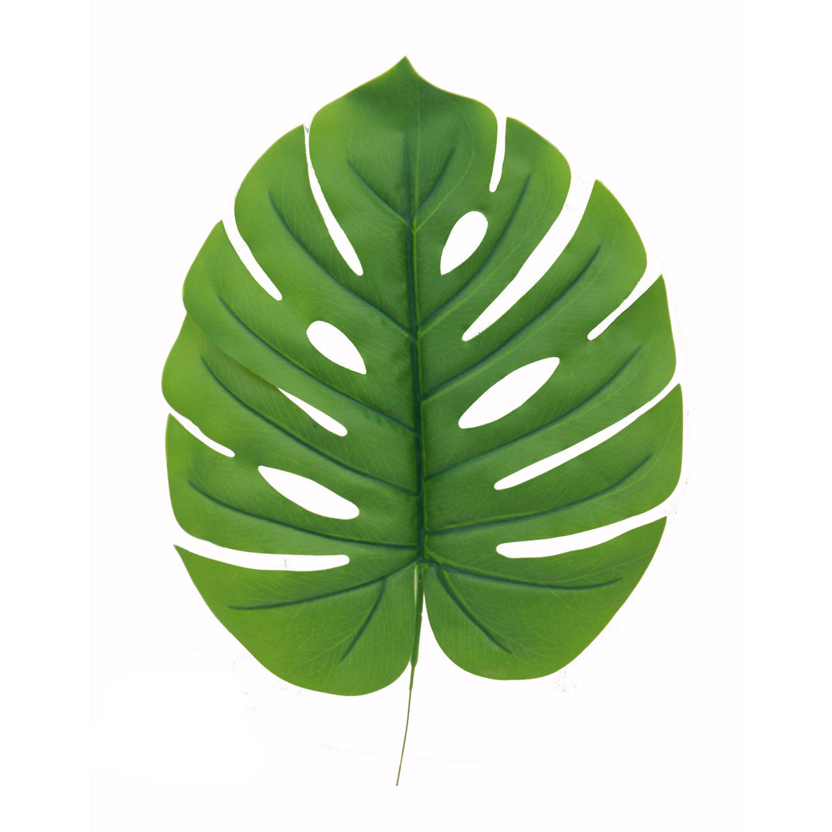 19" Single Tarovine leaf Green image 0