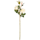 Large Charlotte Rose Spray x 3 Cream image 0