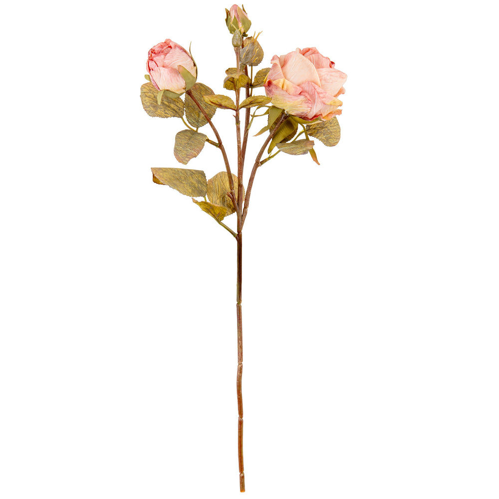 Dry Image Rose Spray Rose Quartz image 0