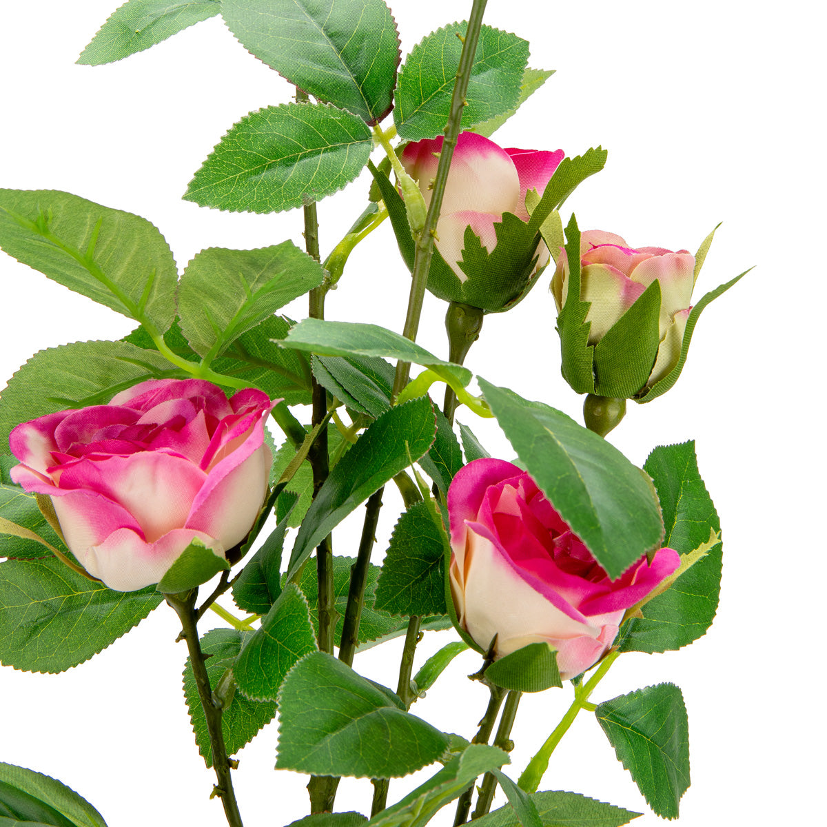 Rose Spray with 6 heads Dark Pink image 1
