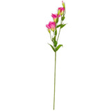 Eleganza Lisianthus Spray x 3 Cerise image 0