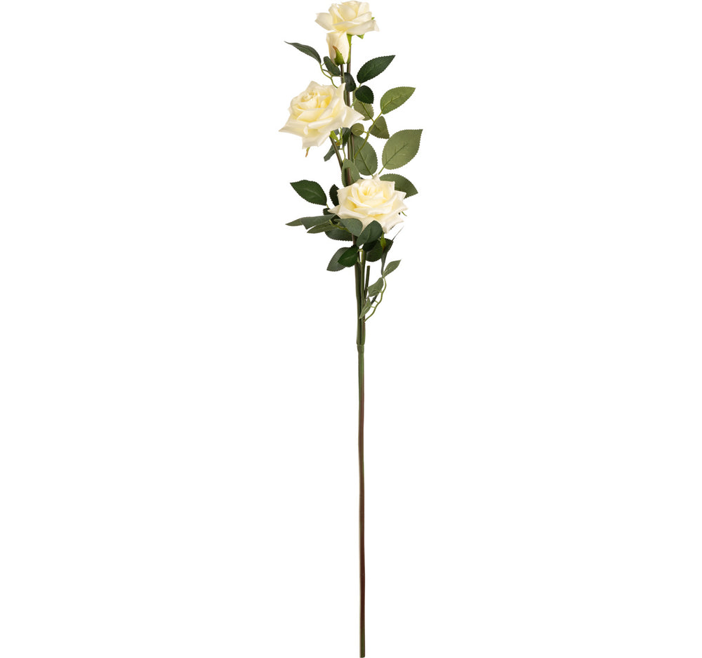 Large Diana Rose Spray x 5 Cream image 0